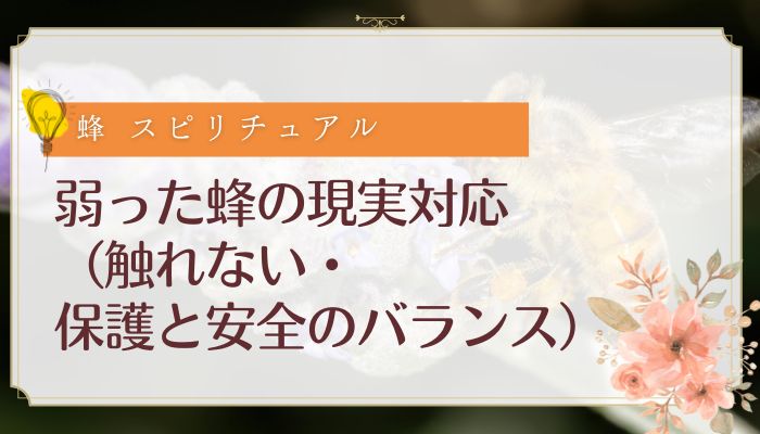 弱った蜂の現実対応(触れない・保護と安全のバランス)