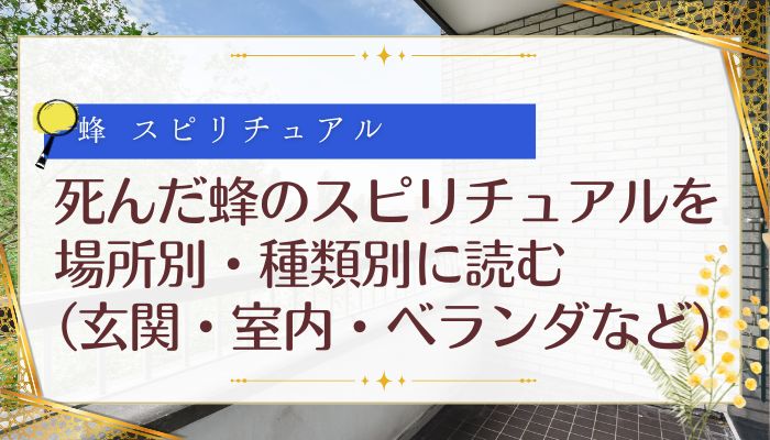 死んだ蜂のスピリチュアルを場所別・種類別に読む(玄関・室内・ベランダなど)