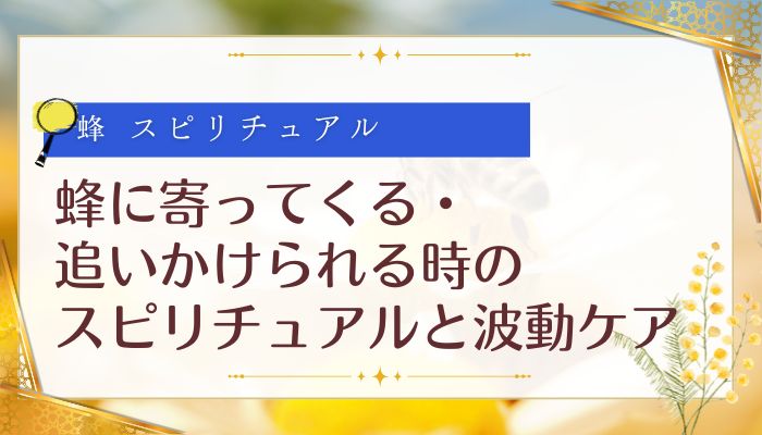 蜂に寄ってくる・追いかけられる時のスピリチュアルと波動ケア