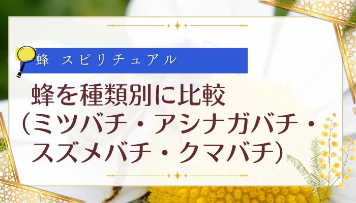 蜂のスピリチュアルを種類別に比較(ミツバチ・アシナガバチ・スズメバチ・クマバチ)