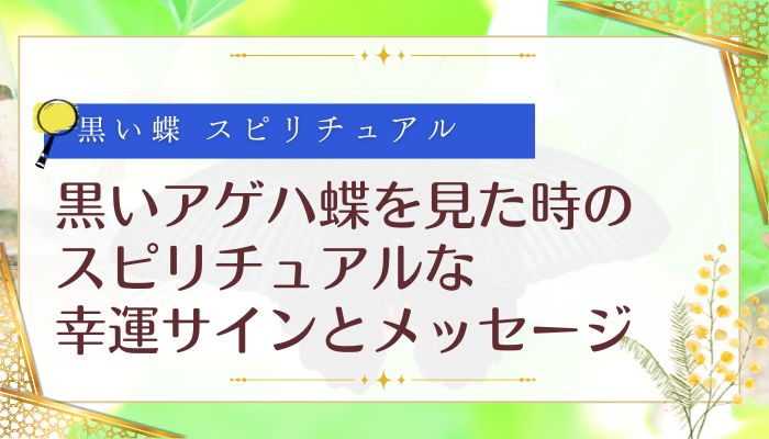 黒いアゲハ蝶を見た時のスピリチュアルな幸運サインとメッセージ