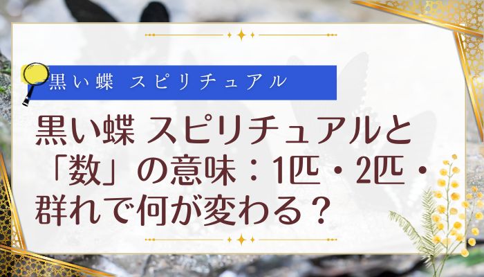 黒い蝶 スピリチュアルと「数」の意味:1匹・2匹・群れで何が変わる?