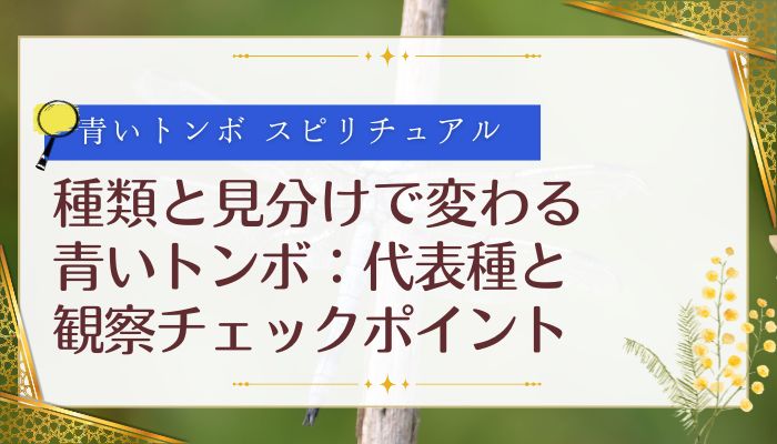 種類と見分けで変わる青いトンボ:代表種と観察チェックポイント