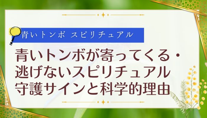 青いトンボが寄ってくる・逃げないスピリチュアル:守護サインと科学的理由