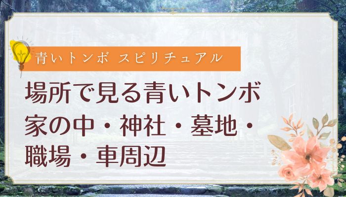 場所で見る青いトンボ:家の中・神社・墓地・職場・車周辺
