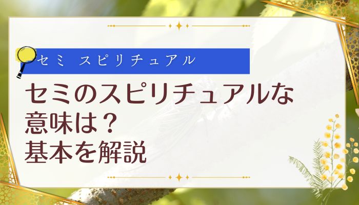 セミのスピリチュアルな意味は?基本を解説