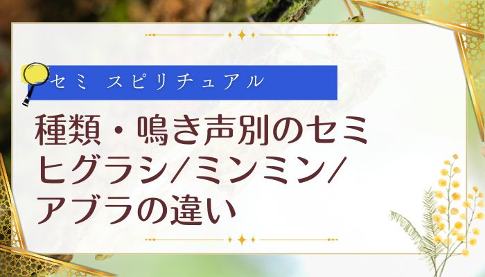 種類・鳴き声別のセミ スピリチュアル:ヒグラシ/ミンミン/アブラの違い