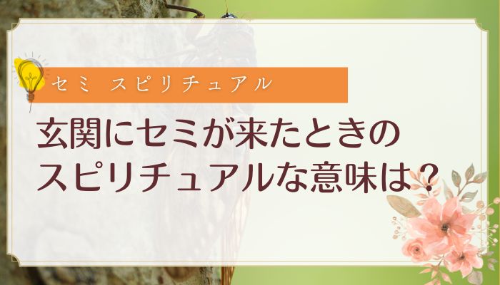 玄関にセミが来たときのスピリチュアルな意味は?
