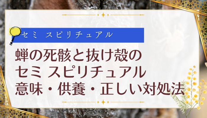 蝉の死骸と抜け殻のセミ スピリチュアル:意味・供養・正しい対処法