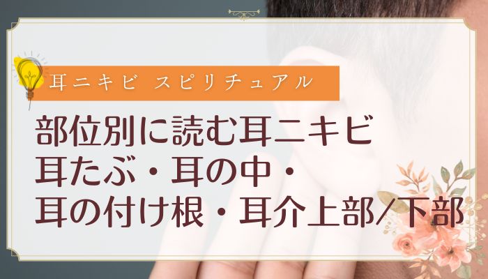 部位別に読む耳ニキビ:耳たぶ・耳の中・耳の付け根・耳介上部/下部
