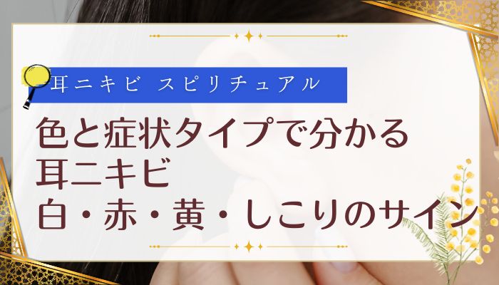 色と症状タイプで分かる耳ニキビ:白・赤・黄・しこりのサイン