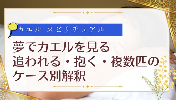 夢でカエルを見る｜追われる・抱く・複数匹のケース別解釈