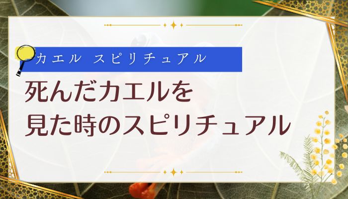 死んだカエルを見た時のスピリチュアル