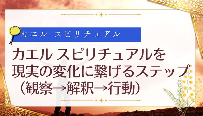 カエル スピリチュアルを現実の変化に繋げるステップ（観察→解釈→行動）