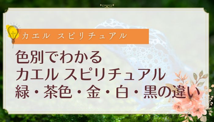 色別でわかるカエル スピリチュアル｜緑・茶色・金・白・黒の違い