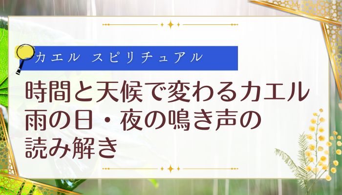 時間と天候で変わるカエル｜雨の日・夜の鳴き声の読み解き