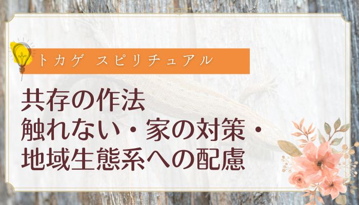 共存の作法：触れない・家の対策・地域生態系への配慮