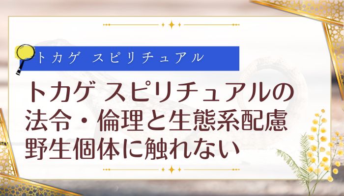 トカゲ スピリチュアルの法令・倫理と生態系配慮：野生個体に触れない