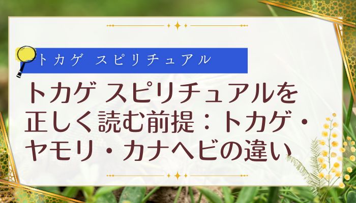 トカゲ スピリチュアルを正しく読む前提：トカゲ・ヤモリ・カナヘビの違い