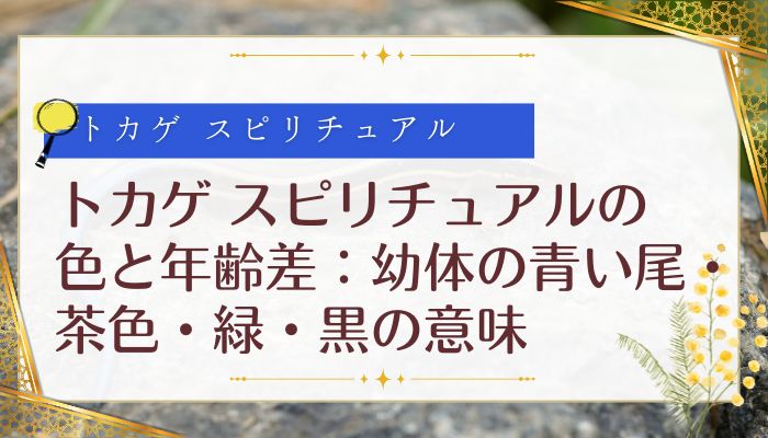 トカゲ スピリチュアルの色と年齢差：幼体の青い尾・茶色・緑・黒の意味