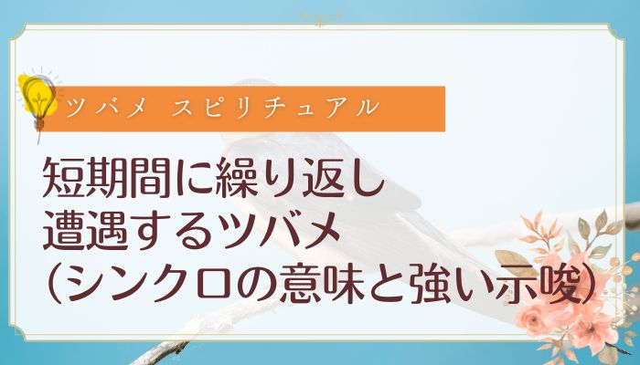 短期間に繰り返し遭遇するツバメ(シンクロの意味と強い示唆)