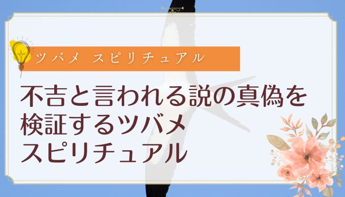 不吉と言われる説の真偽を検証するツバメ スピリチュアル
