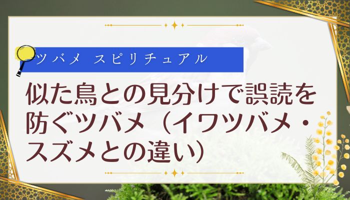 似た鳥との見分けで誤読を防ぐツバメ(イワツバメ・スズメとの違い)