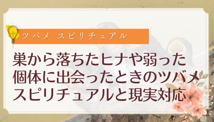 巣から落ちたヒナや弱った個体に出会ったときのツバメ スピリチュアルと現実対応