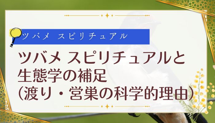 ツバメ スピリチュアルと生態学の補足(渡り・営巣の科学的理由)