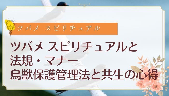 ツバメ スピリチュアルと法規・マナー:鳥獣保護管理法と共生の心得