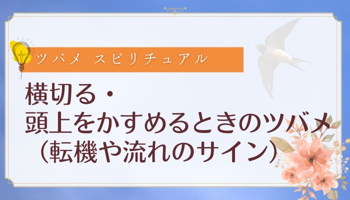横切る・頭上をかすめるときのツバメ(転機や流れのサイン)