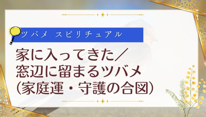 家に入ってきた/窓辺に留まるツバメ(家庭運・守護の合図)
