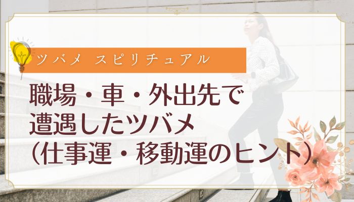 職場・車・外出先で遭遇したツバメ(仕事運・移動運のヒント)