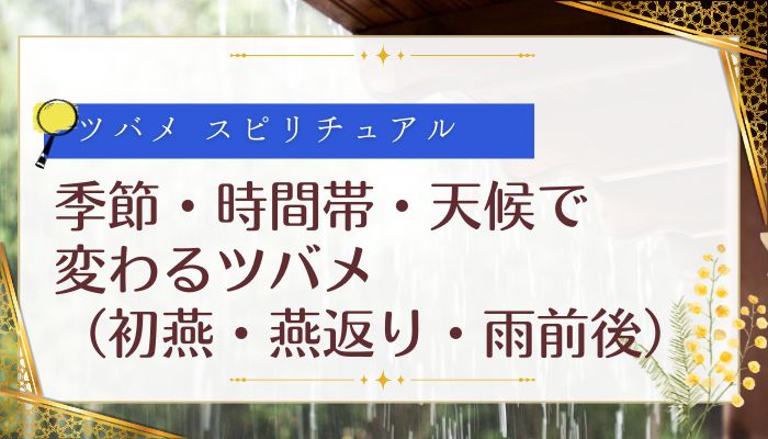 季節・時間帯・天候で変わるツバメ(初燕・燕返り・雨前後)